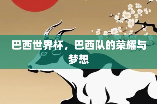 巴西世界杯，巴西队的荣耀与梦想