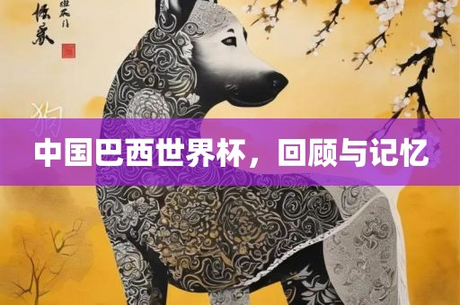 中国巴西世界杯，回顾与记忆