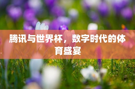腾讯与世界杯，数字时代的体育盛宴