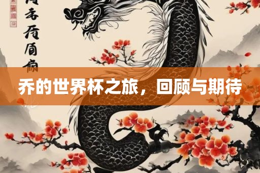 乔的世界杯之旅，回顾与期待