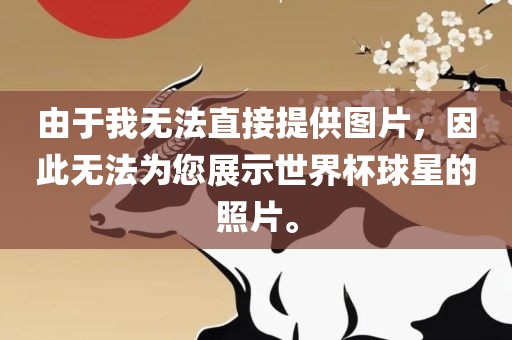 由于我无法直接提供图片，因此无法为您展示世界杯球星的照片。