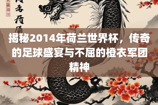 揭秘2014年荷兰世界杯，传奇的足球盛宴与不屈的橙衣军团精神