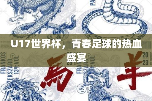 U17世界杯，青春足球的热血盛宴