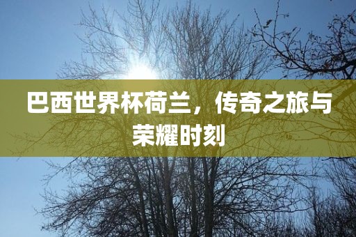 巴西世界杯荷兰，传奇之旅与荣耀时刻