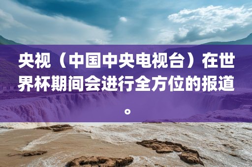 央视（中国中央电视台）在世界杯期间会进行全方位的报道。