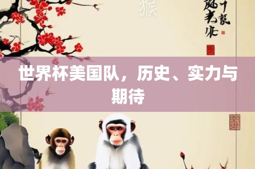 世界杯美国队，历史、实力与期待
