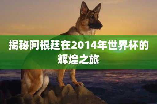 揭秘阿根廷在2014年世界杯的辉煌之旅