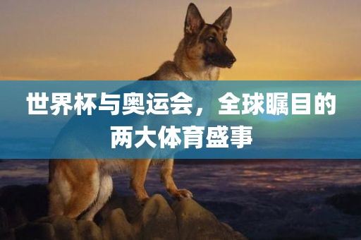 世界杯与奥运会，全球瞩目的两大体育盛事
