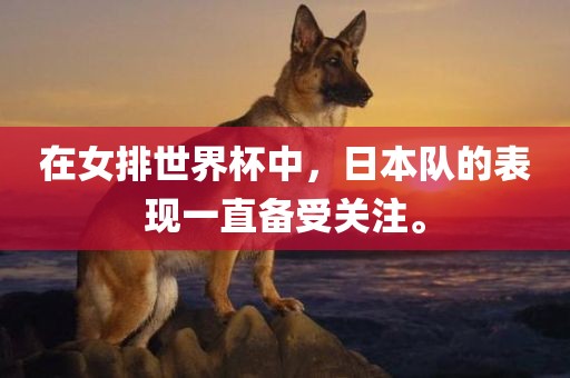 在女排世界杯中，日本队的表现一直备受关注。