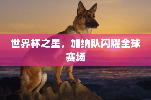 世界杯之星，加纳队闪耀全球赛场