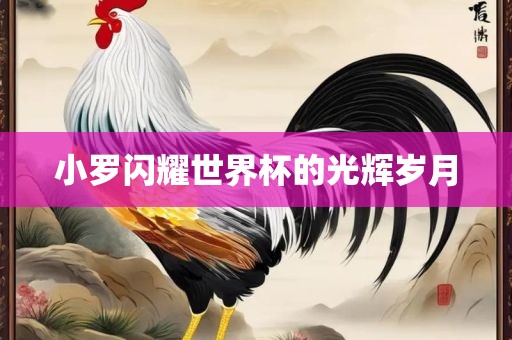 小罗闪耀世界杯的光辉岁月