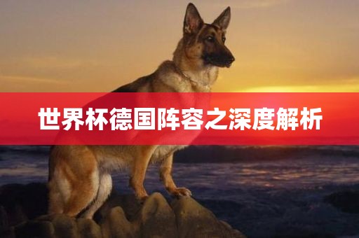 世界杯德国阵容之深度解析