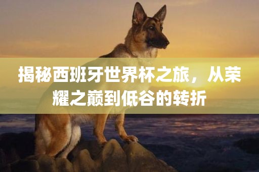 揭秘西班牙世界杯之旅，从荣耀之巅到低谷的转折