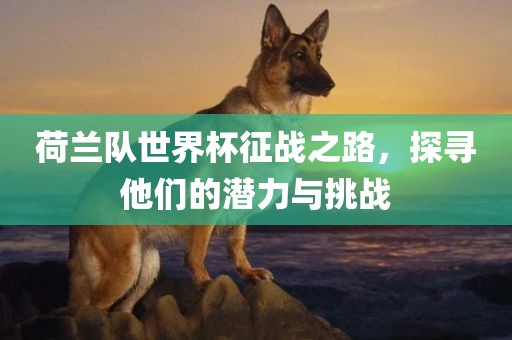 荷兰队世界杯征战之路，探寻他们的潜力与挑战