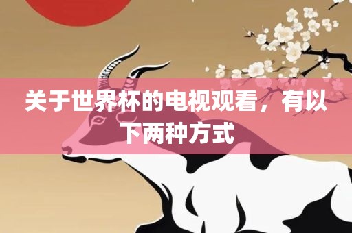 关于世界杯的电视观看，有以下两种方式