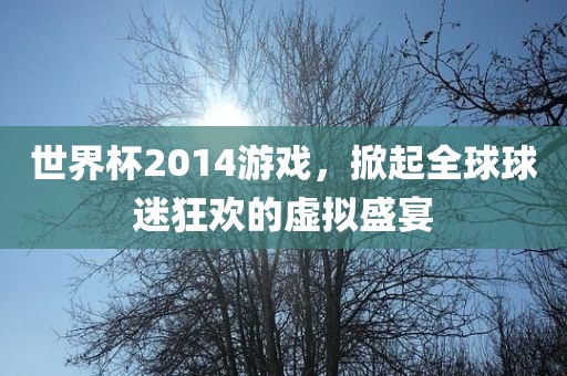 世界杯2014游戏，掀起全球球迷狂欢的虚拟盛宴