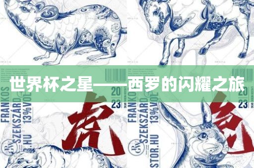 世界杯之星——西罗的闪耀之旅