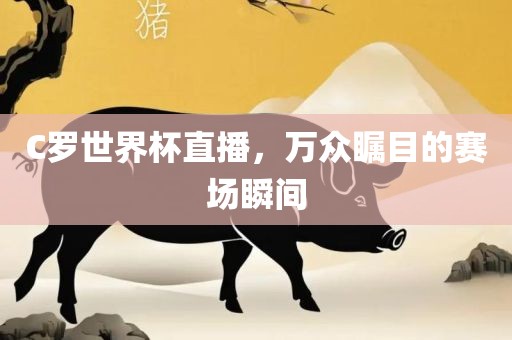 C罗世界杯直播，万众瞩目的赛场瞬间