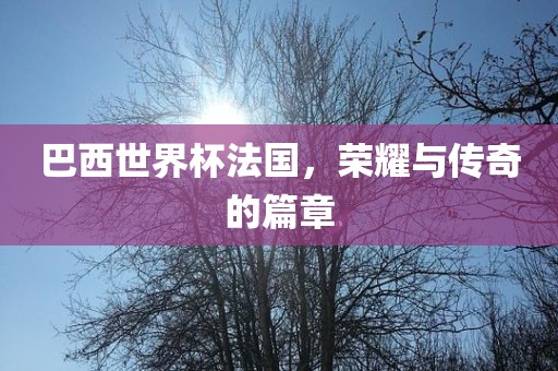 巴西世界杯法国，荣耀与传奇的篇章