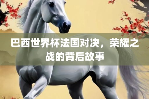 巴西世界杯法国对决，荣耀之战的背后故事