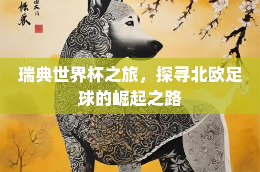 瑞典世界杯之旅，探寻北欧足球的崛起之路