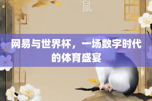网易与世界杯，一场数字时代的体育盛宴