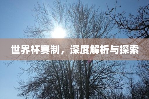 世界杯赛制，深度解析与探索