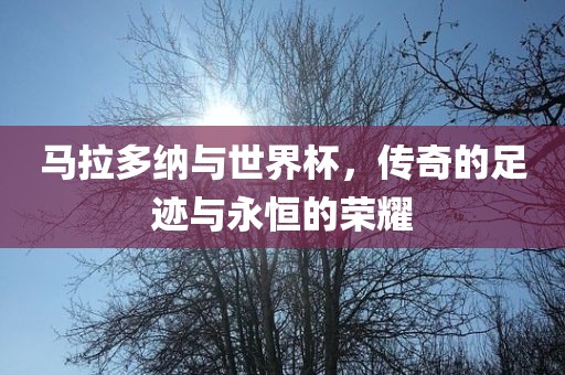 马拉多纳与世界杯，传奇的足迹与永恒的荣耀