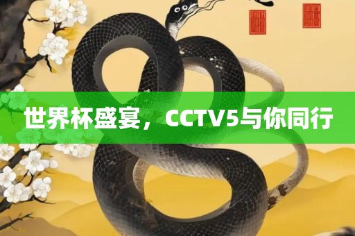 世界杯盛宴，CCTV5与你同行