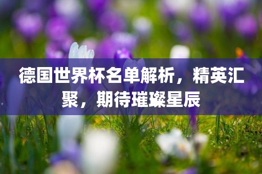 德国世界杯名单解析，精英汇聚，期待璀璨星辰