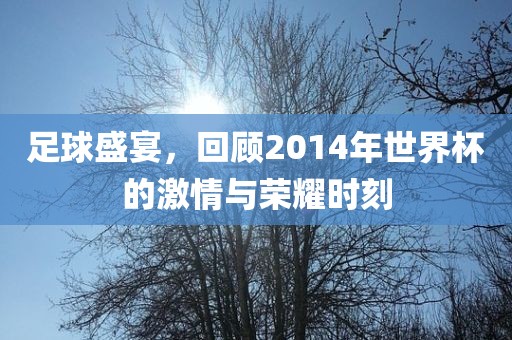 足球盛宴，回顾2014年世界杯的激情与荣耀时刻
