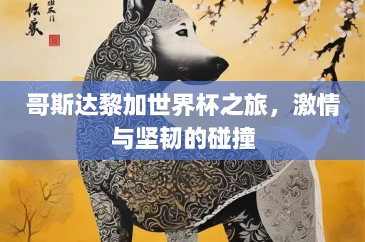 哥斯达黎加世界杯之旅，激情与坚韧的碰撞