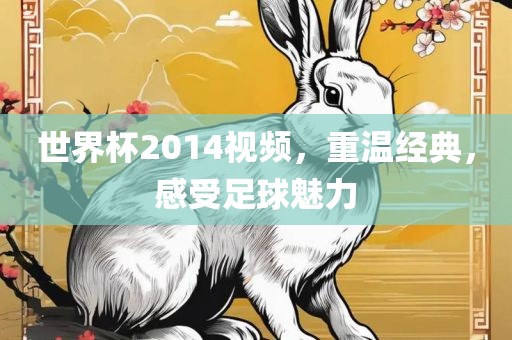 世界杯2014视频，重温经典，感受足球魅力