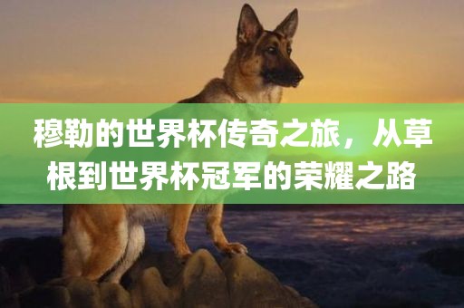 穆勒的世界杯传奇之旅，从草根到世界杯冠军的荣耀之路