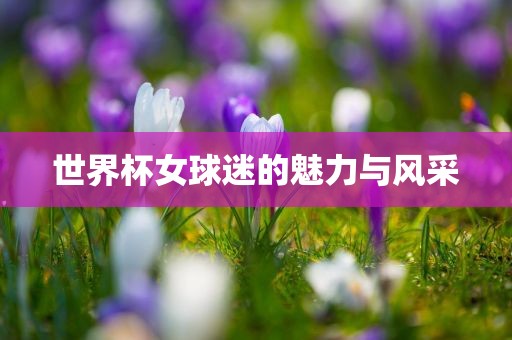 世界杯女球迷的魅力与风采