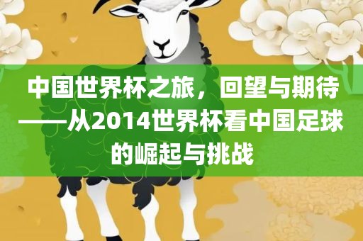 中国世界杯之旅，回望与期待——从2014世界杯看中国足球的崛起与挑战