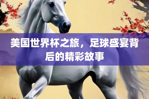 美国世界杯之旅，足球盛宴背后的精彩故事
