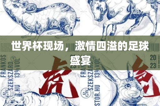 世界杯现场，激情四溢的足球盛宴