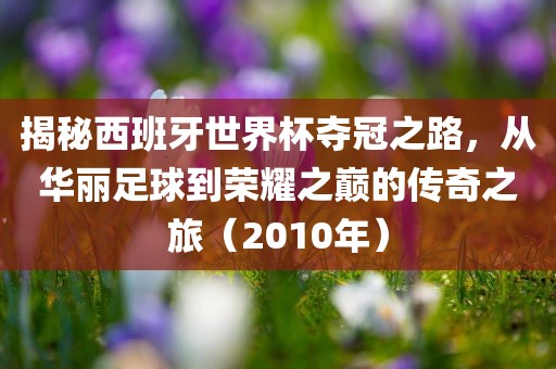 揭秘西班牙世界杯夺冠之路，从华丽足球到荣耀之巅的传奇之旅（2010年）