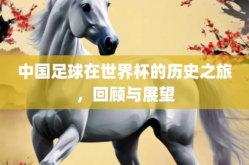 中国足球在世界杯的历史之旅，回顾与展望