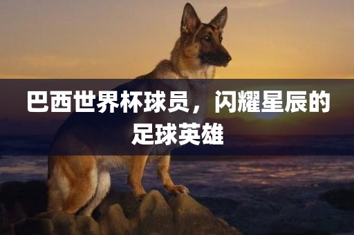 巴西世界杯球员，闪耀星辰的足球英雄