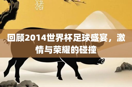 回顾2014世界杯足球盛宴，激情与荣耀的碰撞