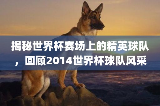 揭秘世界杯赛场上的精英球队，回顾2014世界杯球队风采
