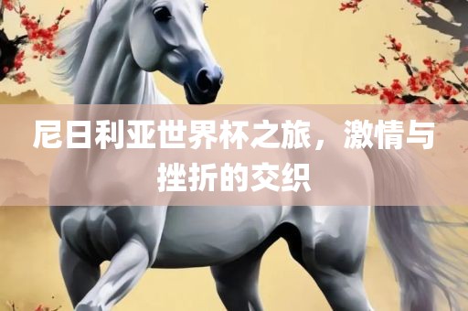 尼日利亚世界杯之旅，激情与挫折的交织