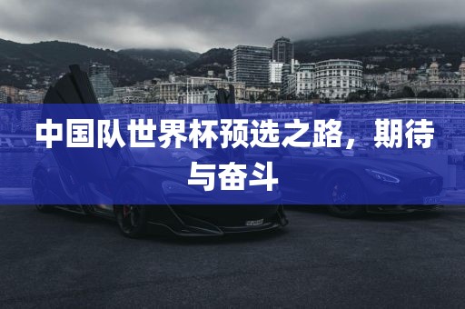 中国队世界杯预选之路，期待与奋斗