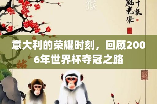 意大利的荣耀时刻，回顾2006年世界杯夺冠之路