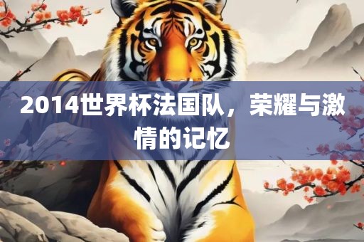 2014世界杯法国队，荣耀与激情的记忆