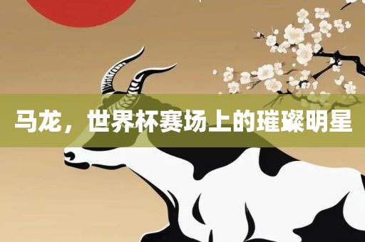 马龙，世界杯赛场上的璀璨明星