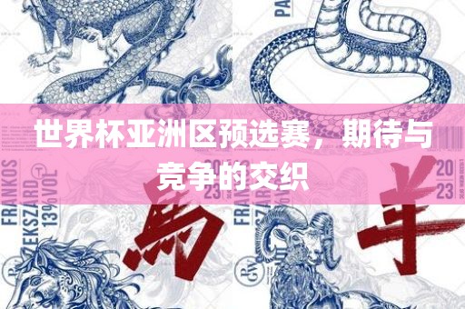 世界杯亚洲区预选赛，期待与竞争的交织