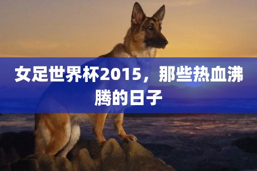女足世界杯2015，那些热血沸腾的日子